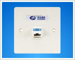 Single Port Angled Face Plate(WB-W104).