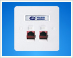 Dual Ports Face Plate(WB-W205).