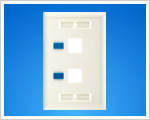 120 Type Dual Ports Face Plate(WB-W207).