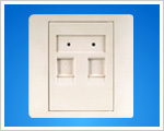 Dual Ports Face Plate(WB-W208).