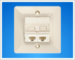 Dual Ports Angled Face Plate(WB-W209).