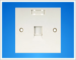 Single Port Face Plate(WB-W109).