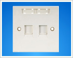 Dual Ports Face Plate(WB-W210).