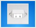 Dual Ports Angled Face Plate(WB-W212).