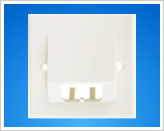 Dual Ports Angled Face Plate(WB-W213).