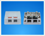 Surface Mount Dual Ports Box(WB-W217).