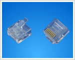 Modular Plug  (WB-S0811 8P8C).